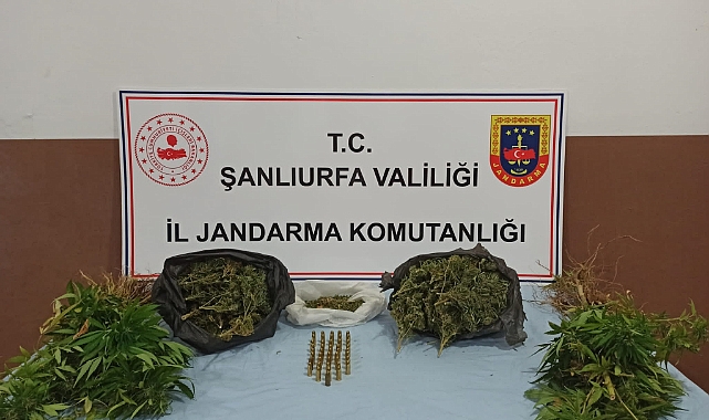 Urfa'nın iki ilçesinde uyuşturucu operasyonu