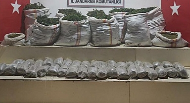 Uyuşturucu operasyonu! 1 milyon kök kenevir ele geçirildi 