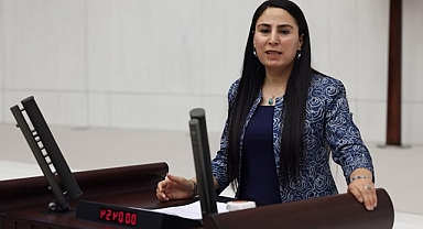 Vekil Sürücü, iptal edilen İlkay Akkaya konserini sordu