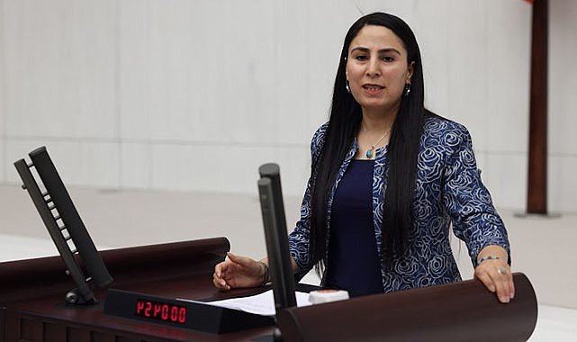 Vekil Sürücü, iptal edilen İlkay Akkaya konserini sordu