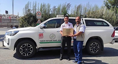 Yaralı Balaban kuşu DKMP ekiplerine teslim edildi 