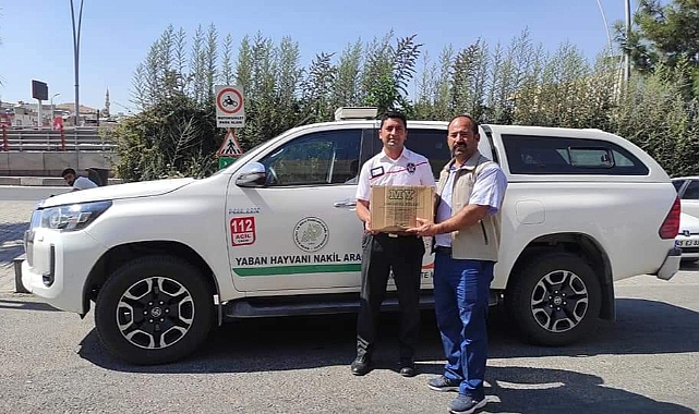 Yaralı Balaban kuşu DKMP ekiplerine teslim edildi