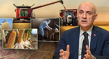 Bakan Kirişçi: Desteklemeler yatmaya başladı