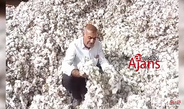 Çiftçinin pamuk fiyatı isyanı! Böbreğimi satsam altından kalkamam
