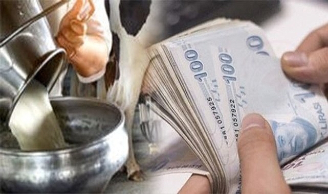 Çiğ süt destek primi hariç, üreticinin eline kaç lira geçecek?