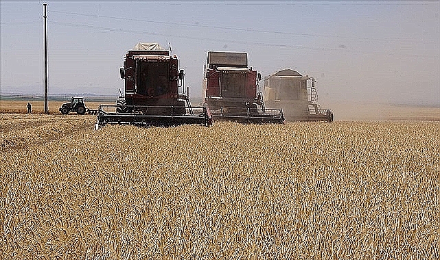 E-devletten ÇKS başvurusundan kimler yararlanabiliyor?