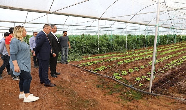 Eyyübiye Sera Kent’teki Yüksek Rekolte Ümit Veriyor