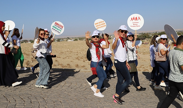 Harran'da sağlık sokağı kuruldu
