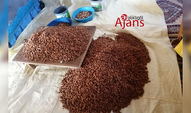 Hilvan'da evde çalışarak para kazanıyorlar