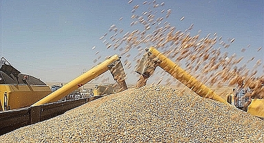 Hububat ve bakliyat fiyatları açıklandı