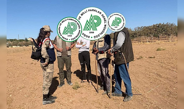 Kaçak avcılara suç üstü yapıldı!