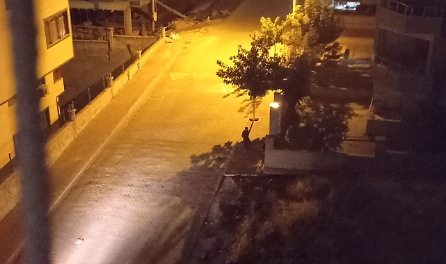 Karaköprü'de elinde tüfekle gezen şahıs tedirginliğe neden oldu