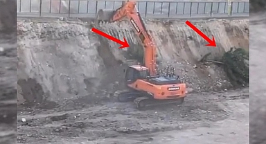 Müteahhitler Karaköprü'yü katlediyor! Ağaçları kestiler 