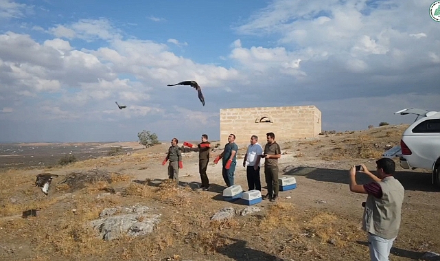 Özgürlüğe yeniden kanat çırptılar