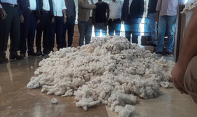 Pamuk ve buğday fiyatları belli oldu