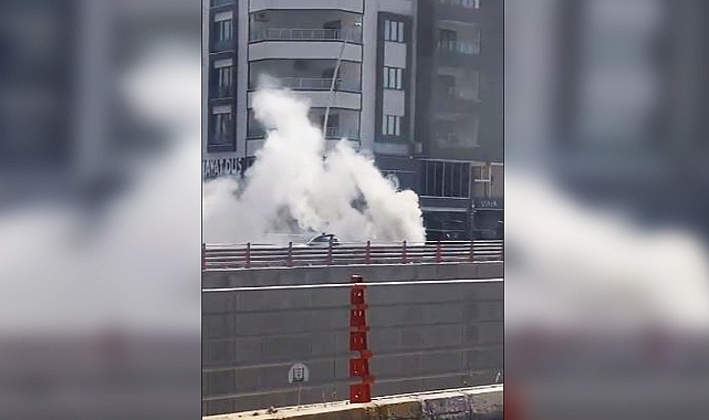 Şanlıurfa’da araç alevlere teslim oldu