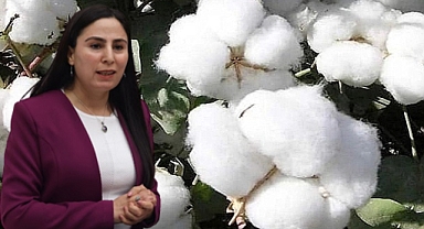 Vekil Ayşe Sürücü, bakana pamuk fiyatlarını sordu