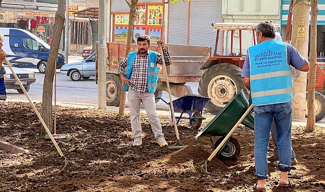 Yemyeşil Eyyübiye çalışmaları devam ediyor