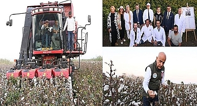 Yeni sezon pamuk fiyatı!