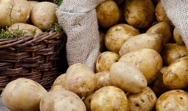 Bakanlık açıkladı! 21 Kasım'a kadar başvurulması gerekiyor