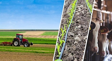 Bakanlık açıkladı! Kırsal kalkınmada destekler artırıldı