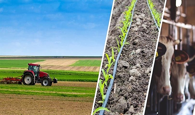 Bakanlık açıkladı! Kırsal kalkınmada destekler artırıldı