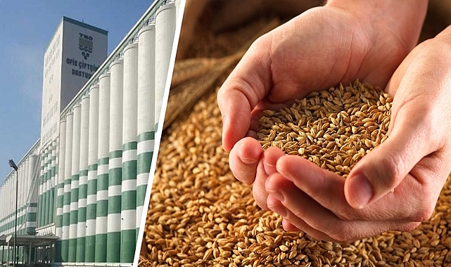 Çiftçilere destekleme ödemesi yapılmasına ilişkin karar! 