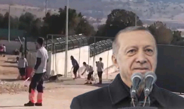 Cumhurbaşkanı Erdoğan'dan barınak vahşetine tepki!