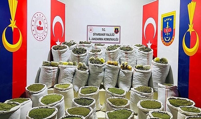 Dev operasyon! Tonlarca uyuşturucu madde ele geçirildi