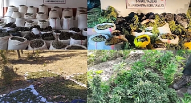 Dev uyuşturucu operasyonu! Tonlarca ele geçirildi