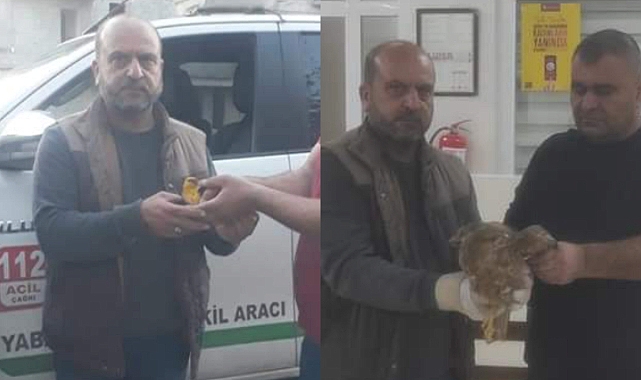 DKMP yaralı sarı asma kuşunu tedaviye aldı