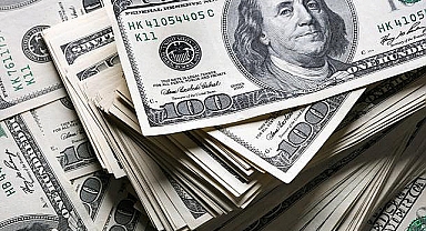 Dolar kaç TL'den işlem gördü?