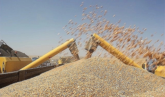 Güncel hububat ve bakliyat fiyatları açıklandı
