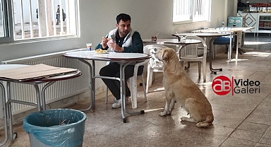 Harran Üniversitesi'nde rezalet