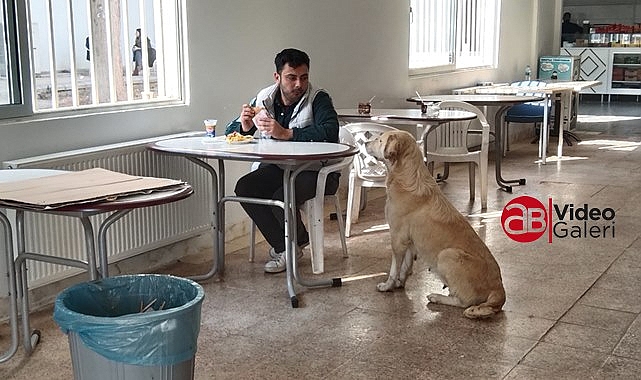 Harran Üniversitesi'nde rezalet