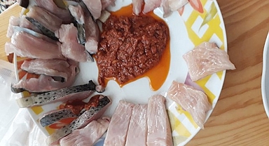 HRÜ'den sağlıklı et tüketimine bilimsel katkı