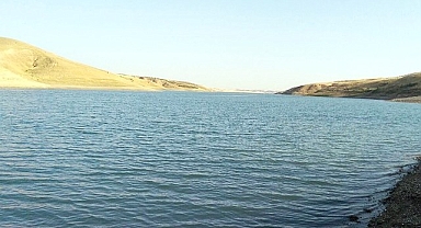 HRÜ Fırat Nehri'nde tehdit oluşturan istilacı sazan balıkları için proje üretiyor