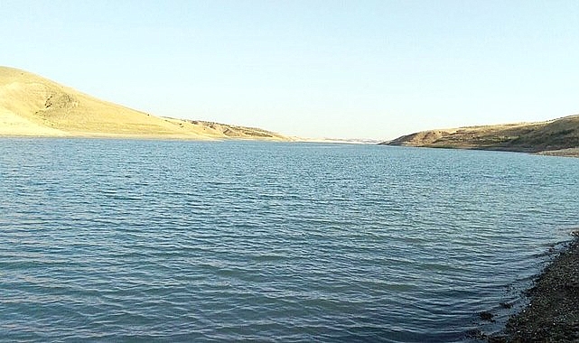 HRÜ Fırat Nehri'nde tehdit oluşturan istilacı sazan balıkları için proje üretiyor