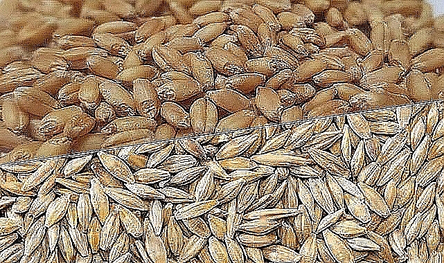 Hububat ve Bakliyat fiyatları açıklandı