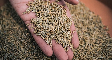 Hububat ve bakliyat fiyatları açıklandı! İşte güncel fiyatlar