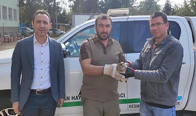 Kulaklı Orman Baykuşu bulundu