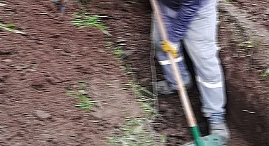 Şanlıurfa'da 4 kişi yaşamını yitirdi