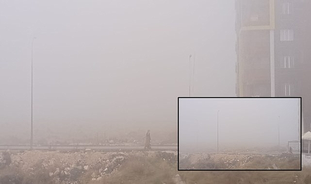 Şanlıurfa’da yoğun sis etkili oldu