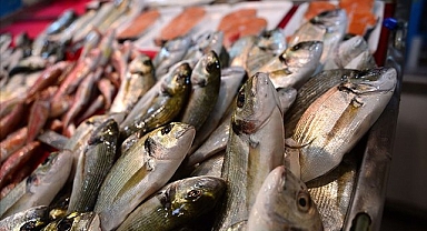 Su ürünleri ihracatının 1,5 milyar doları aşması bekleniyor!