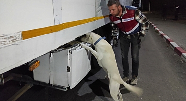 Urfa'da jandarma aranan 16 kişiyi yakaladı 