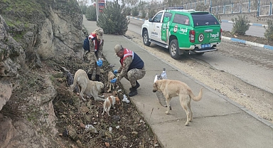 Urfa’da JASAT sokak hayvanlarını unutmadı!