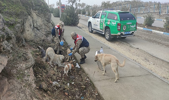 Urfa’da JASAT sokak hayvanlarını unutmadı!