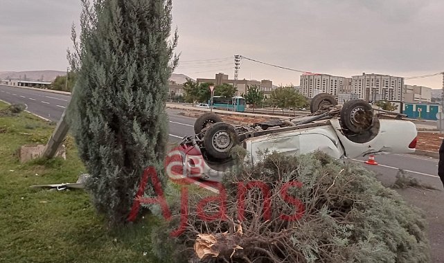 Urfa'da kontrolden çıkan kamyonet takla attı