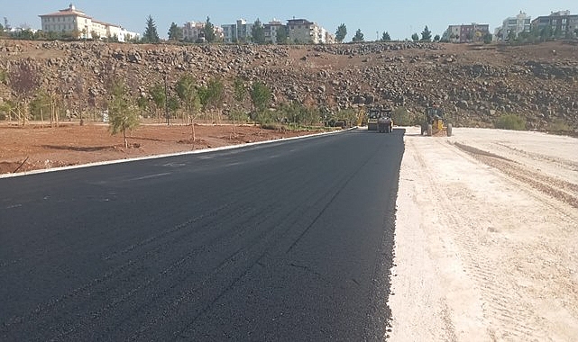 Viranşehir Millet Bahçesi yollarında asfaltlama çalışması