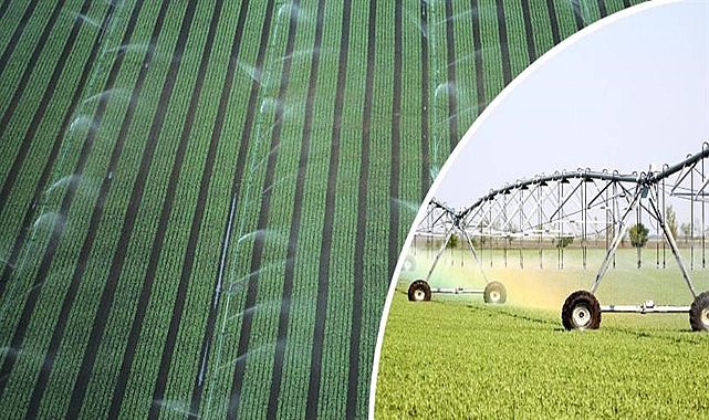 Bakanlık açıkladı! Yüzde 50 hibe desteği veriliyor